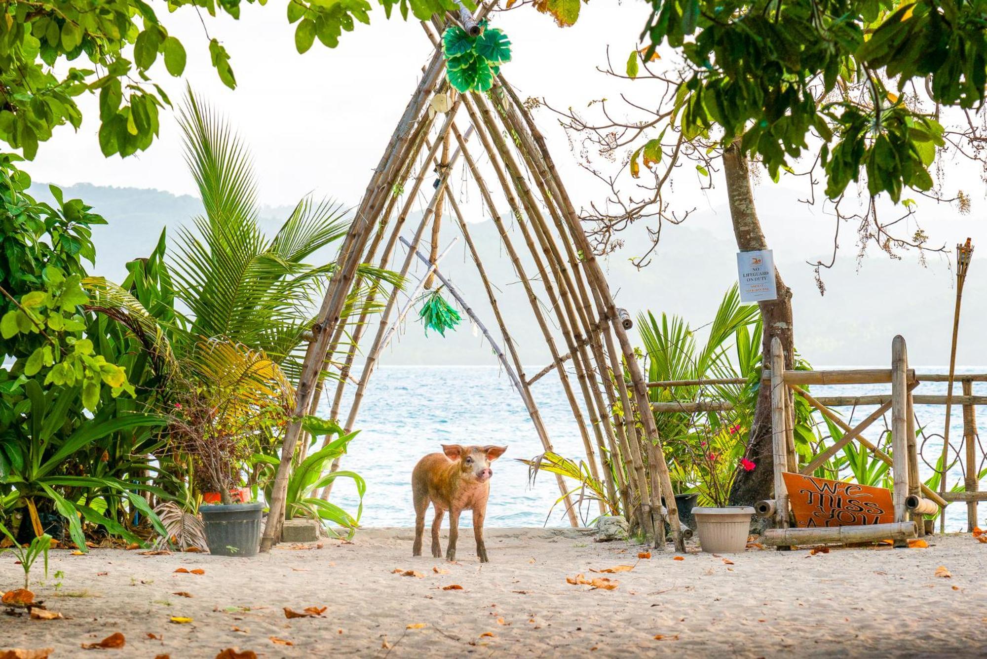 Isla - The Island Experience Hotel El Nido Exterior foto